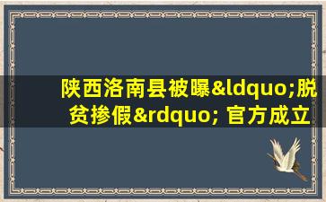 陕西洛南县被曝“脱贫掺假” 官方成立调查组介入调查